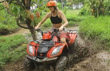 Private Tour:Your Program Highlight Tour with 10 Hours usage Bali Driver