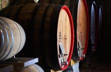 Complete tasting of Castello di Bossi