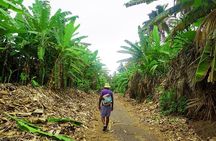 Like Locals: Banana Plantation, and Cuscuz with locals 