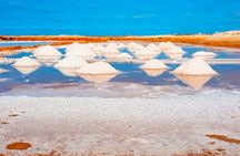Sal Island: Guided Full-Day Highlights Tour with Lunch