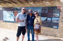 Full Day Tour to Pyramids of Giza, Saqqara Step Pyramids & Sound and Light Show