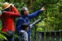 Monteverde Wildlife Walk & Hummingbird Encounter