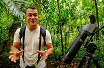 Monteverde Wildlife Walk & Hummingbird Encounter