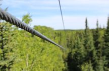 2 Hour Waskesiu Zipline Afternoon Adventure
