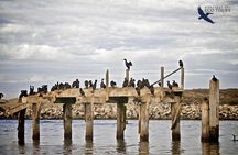 Elkhorn Slough Wildlife Tour