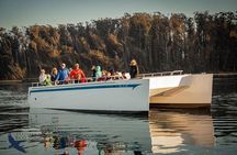 Elkhorn Slough Wildlife Tour