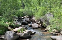 Private Custer State Park Safari and Hiking Tour