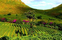 Chapada Diamantina - Private Multi Day Tour