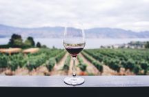 Full-Day Boutique Wine Tour with Pick Up and Lunch