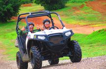 Off Road Buggy Adventure