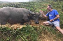 Sapa private: One day of funny Buffalo Ride & Trekking Tour