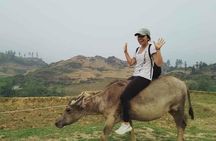 Sapa private: One day of funny Buffalo Ride & Trekking Tour