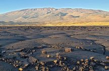 Mauna Kea Arnott's Adventures