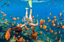 Amazing Nusa Penida Tour