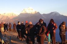 Ghorepani Poon Hill Trek