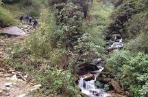 Ghorepani Poon Hill Trek
