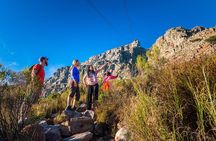 Private Hiking Tour of Table Mountain