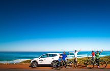 Private Cycling Tour of The Cape Peninsula from Cape Town