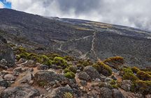 Kilimanjaro climb, Umbwe Route (6-day)