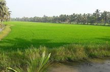 Kerala's Virgin, Prosperous Villages 1 Day Tour Free Pick up&Drop