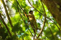 Amazon Rainforest - Private Multi Day Tour