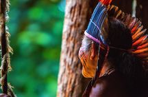 Amazon Rainforest - Private Multi Day Tour