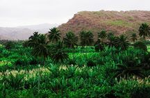 Santiago Island: Banana Plantation, Natural Park & Workshop with a local family