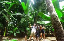 Santiago Island: Banana Plantation, Natural Park & Workshop with a local family