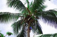 Santiago Island: Banana Plantation, Natural Park & Workshop with a local family