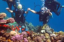 Beach Introduction Dive