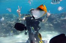 Beach Introduction Dive