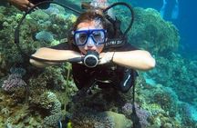 Beach Introduction Dive