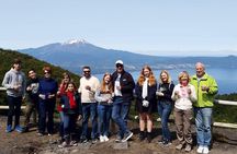 Osorno Volcano, Petrohue Falls and Puerto Varas Shore Excursion