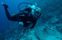 2 Dives in Ras Mohamed National Park by boat