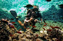 2 Dives in Ras Mohamed National Park by boat