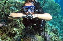 2 Dives in Tiran Island by boat