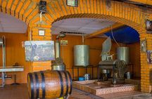 City and Tequila Tour in Puerto Vallarta 