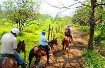 Horseback Riding to La Fortuna Waterfall