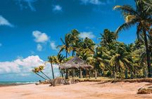 South of Bahia Tour - Private Multi Day Tour