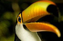 Brazil Family Adventure - Private Multi Day Tour