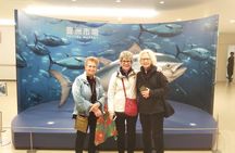 Tuna auction at Toyosu Market with qualified guide and early morning tour of Tsukiji Outer Market