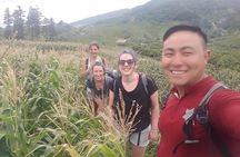 1-day Authentik trek & Panorama valley views