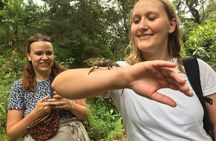 Discover Nature and Culture of Materuni Waterfall & Coffee Tour