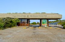 Private Cape of Good Hope Sightseeing and African Penguin Tour