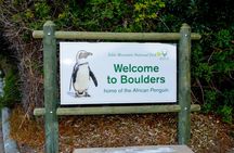 Private Cape of Good Hope Sightseeing and African Penguin Tour