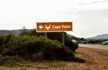 Private Cape of Good Hope Sightseeing and African Penguin Tour