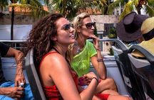 Big Bus Miami: Hop-on Hop-off Sightseeing Tour with Cruise Option