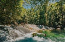 Private Waterfall and Rainforest Day Tour
