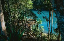 Private Waterfall and Rainforest Day Tour