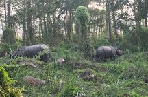1 Night 2 Days Chitwan Jungle Safari Tour from Kathmandu